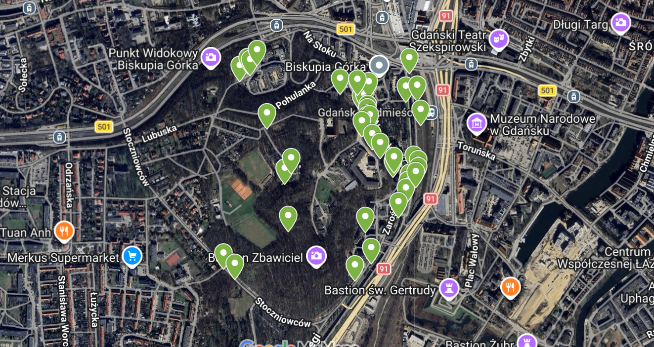 Stanowiska rdestowca na Biskupiej Górce w Gdańsku – mapa